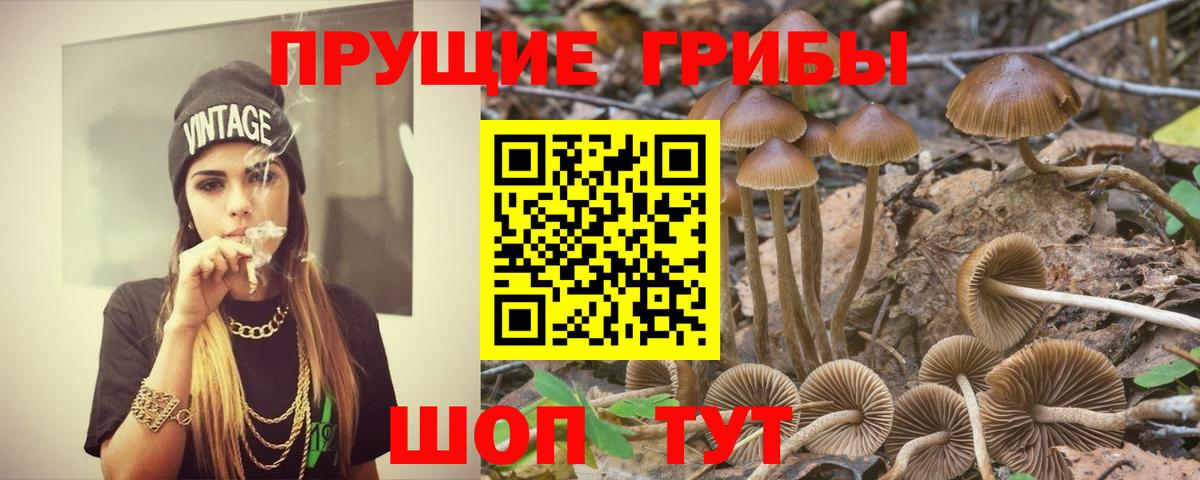 Галлюциногенные грибы прущие грибы  Вход с VPN  Саяногорск 